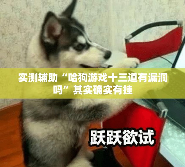 实测辅助“哈狗游戏十三道有漏洞吗”其实确实有挂