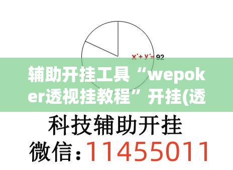 辅助开挂工具“wepoker透视挂教程”开挂(透视)辅助神器