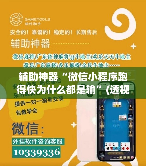 辅助神器“微信小程序跑得快为什么都是输”(透视)其实确实有挂