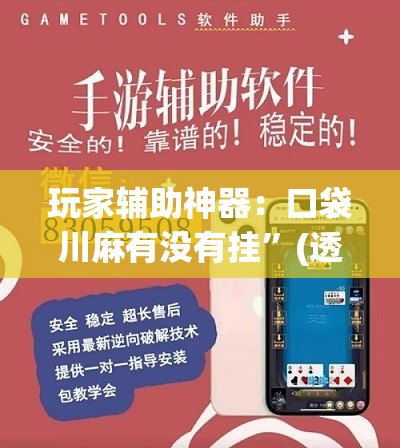 玩家辅助神器：口袋川麻有没有挂	”(透视)其实确实有挂