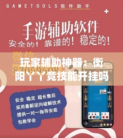 玩家辅助神器：衡阳丫丫竞技能开挂吗”开挂(透视)辅助神器