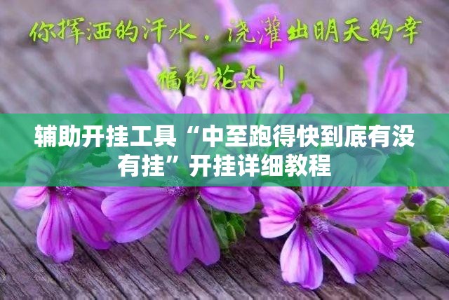 辅助开挂工具“中至跑得快到底有没有挂”开挂详细教程