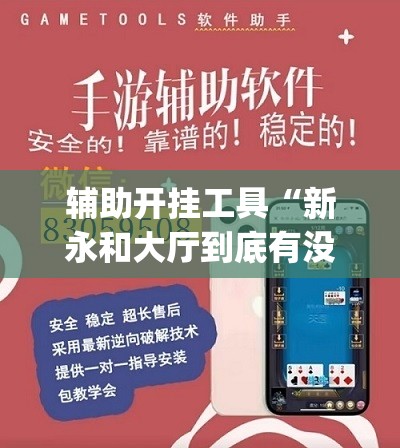 辅助开挂工具“新永和大厅到底有没有挂	”开挂(透视)辅助神器