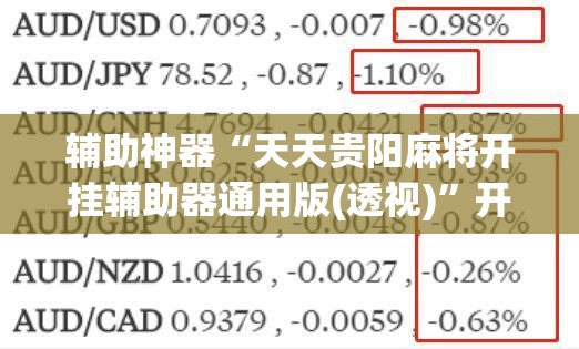 辅助神器“天天贵阳麻将开挂辅助器通用版(透视)	”开挂辅助脚本+详细开挂安装教程