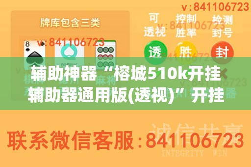 辅助神器“榕城510k开挂辅助器通用版(透视)”开挂辅助脚本+详细开挂安装教程