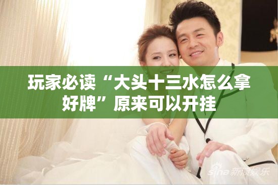 玩家必读“大头十三水怎么拿好牌”原来可以开挂