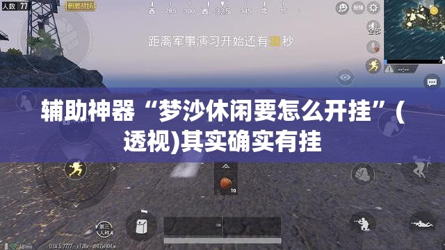 辅助神器“梦沙休闲要怎么开挂”(透视)其实确实有挂