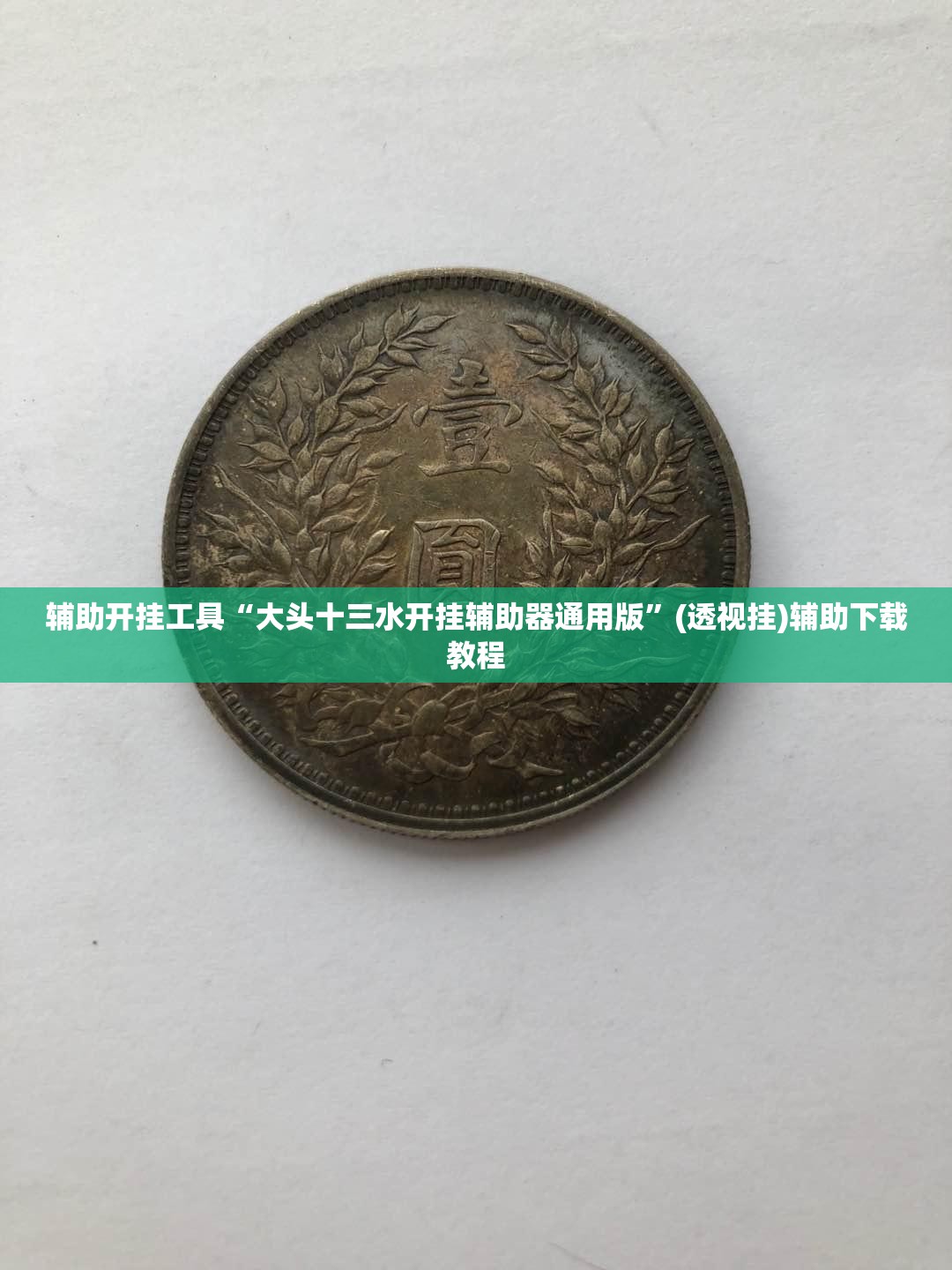 辅助开挂工具“大头十三水开挂辅助器通用版”(透视挂)辅助下载教程