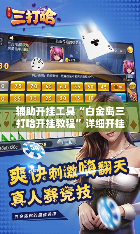 辅助开挂工具“白金岛三打哈开挂教程”详细开挂教程