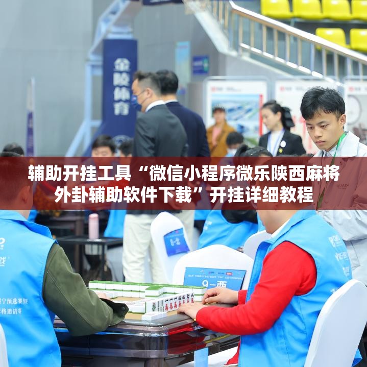 辅助开挂工具“微信小程序微乐陕西麻将外卦辅助软件下载”开挂详细教程