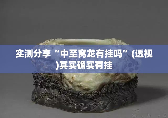实测分享“中至窝龙有挂吗”(透视)其实确实有挂