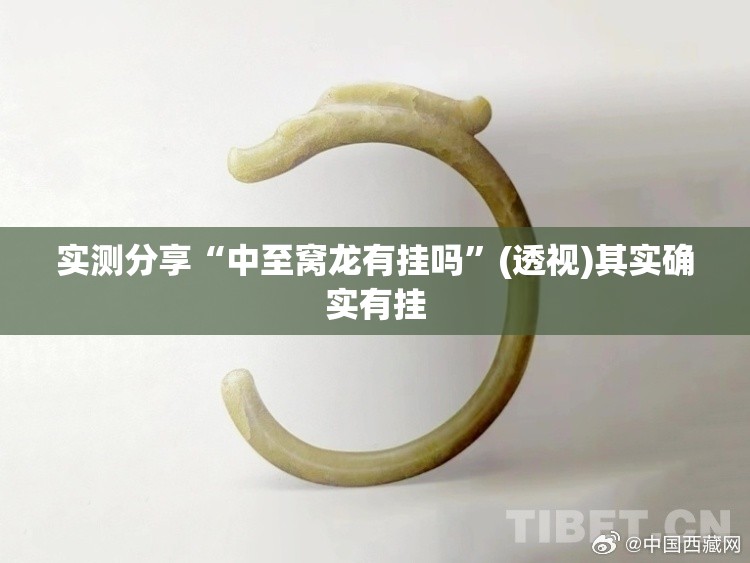 实测分享“中至窝龙有挂吗	”(透视)其实确实有挂