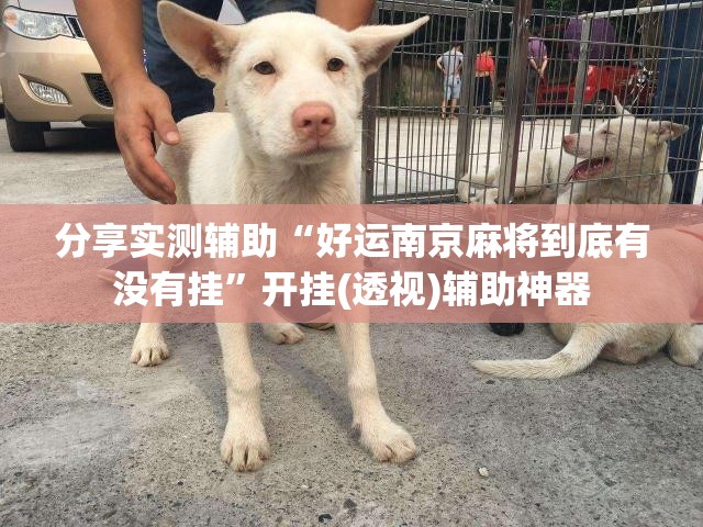 分享实测辅助“好运南京麻将到底有没有挂”开挂(透视)辅助神器