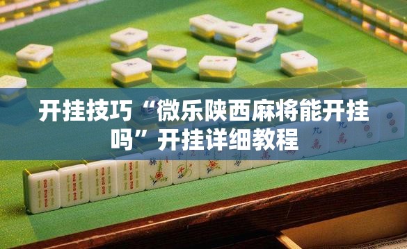 开挂技巧“微乐陕西麻将能开挂吗”开挂详细教程