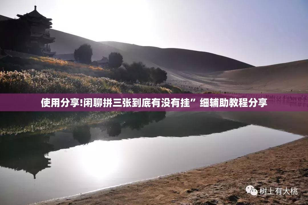 使用分享!闲聊拼三张到底有没有挂”细辅助教程分享