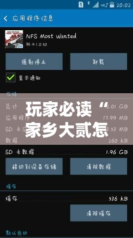 玩家必读“家乡大贰怎么开挂”科技辅助神器手机版