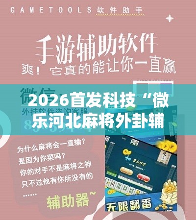 2026首发科技“微乐河北麻将外卦辅助软件下载”开挂详细教程