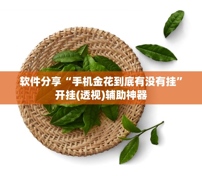 软件分享“手机金花到底有没有挂”开挂(透视)辅助神器
