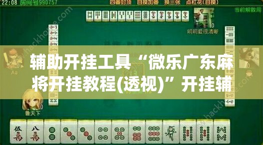 辅助开挂工具“微乐广东麻将开挂教程(透视)	”开挂辅助脚本+详细开挂安装教程