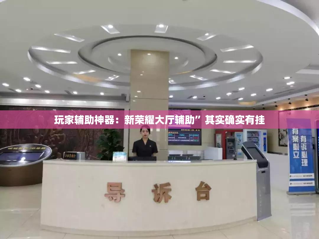 玩家辅助神器：新荣耀大厅辅助”其实确实有挂