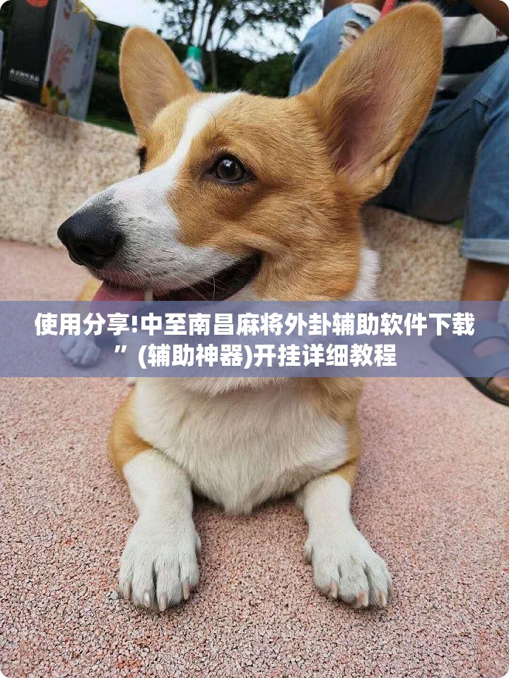 使用分享!中至南昌麻将外卦辅助软件下载	”(辅助神器)开挂详细教程
