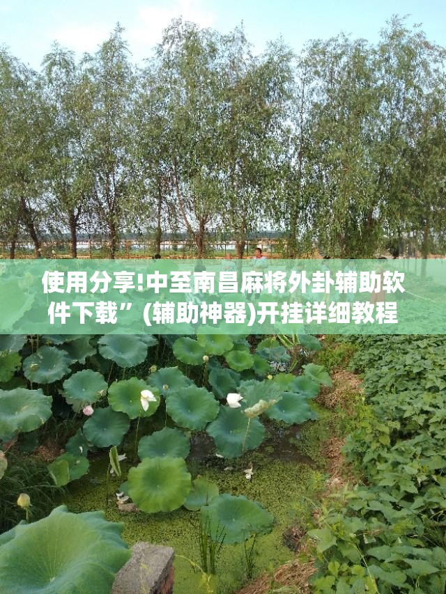 使用分享!中至南昌麻将外卦辅助软件下载”(辅助神器)开挂详细教程