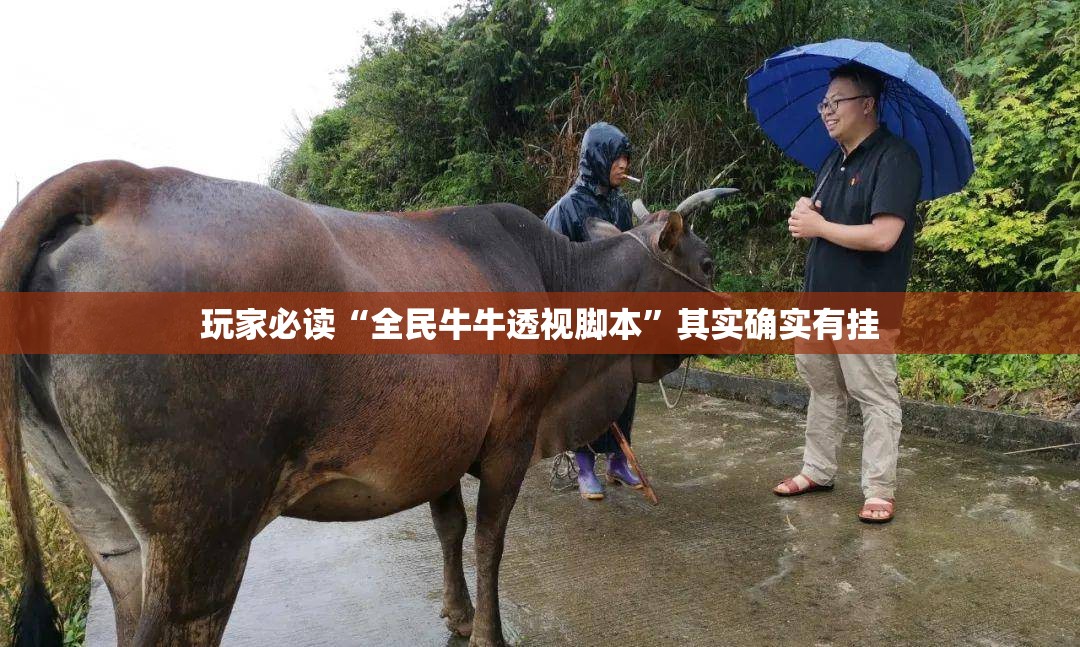 玩家必读“全民牛牛透视脚本”其实确实有挂