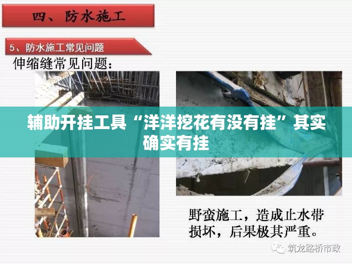 辅助开挂工具“洋洋挖花有没有挂”其实确实有挂