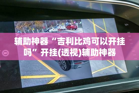辅助神器“吉利比鸡可以开挂吗”开挂(透视)辅助神器