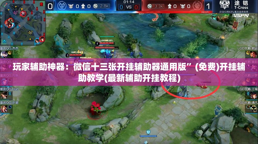 玩家辅助神器：微信十三张开挂辅助器通用版	”(免费)开挂辅助教学(最新辅助开挂教程)