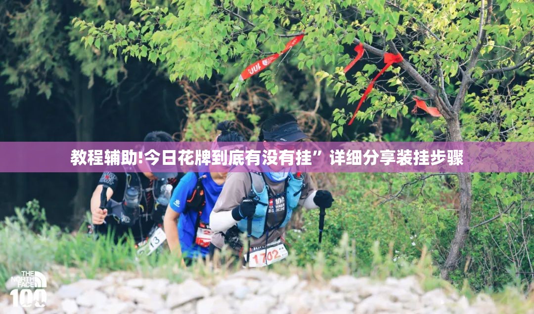 教程辅助!今日花牌到底有没有挂”详细分享装挂步骤
