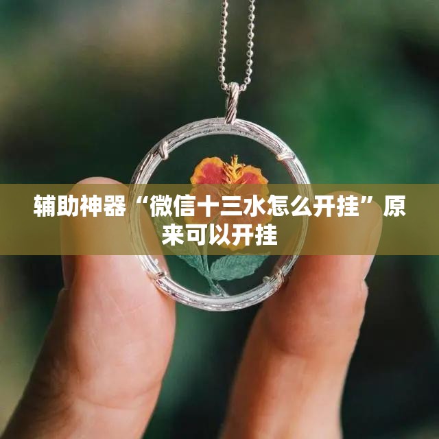 辅助神器“微信十三水怎么开挂”原来可以开挂