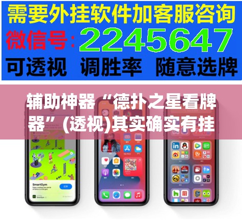 辅助神器“德扑之星看牌器”(透视)其实确实有挂
