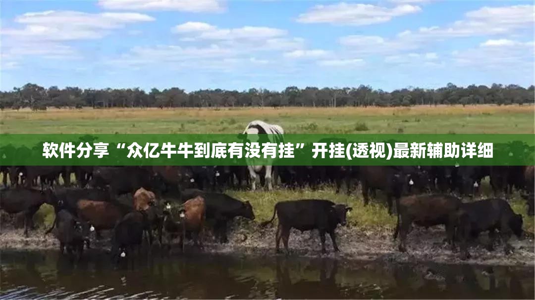 软件分享“众亿牛牛到底有没有挂”开挂(透视)最新辅助详细