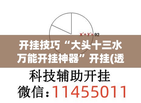 开挂技巧“大头十三水万能开挂神器”开挂(透视)最新辅助详细