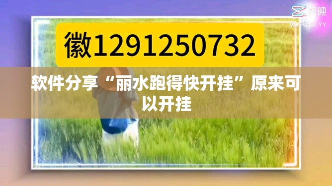 软件分享“丽水跑得快开挂”原来可以开挂