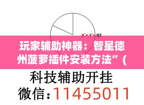 玩家辅助神器：智星德州菠萝插件安装方法”(透视)其实确实有挂