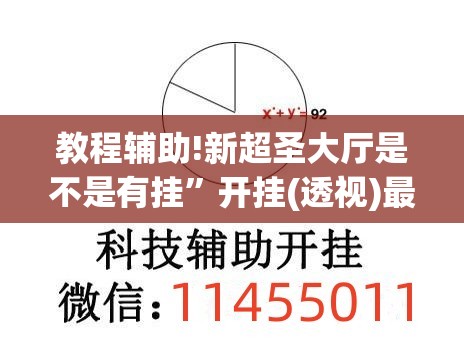 教程辅助!新超圣大厅是不是有挂	”开挂(透视)最新辅助详细