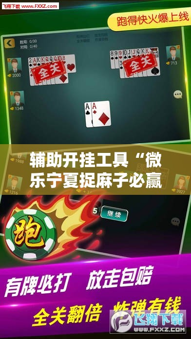 辅助开挂工具“微乐宁夏捉麻子必赢神器”开挂辅助脚本+详细开挂安装教程