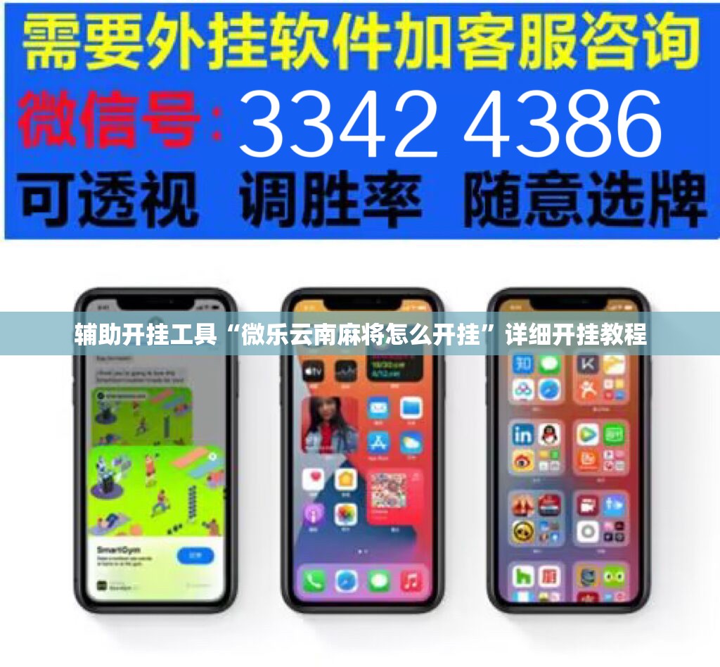 辅助开挂工具“微乐云南麻将怎么开挂	”详细开挂教程