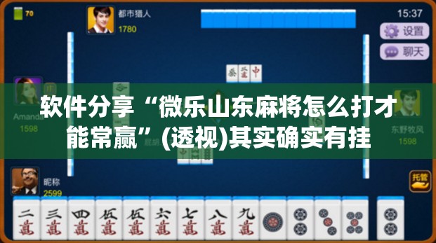 软件分享“微乐山东麻将怎么打才能常赢”(透视)其实确实有挂