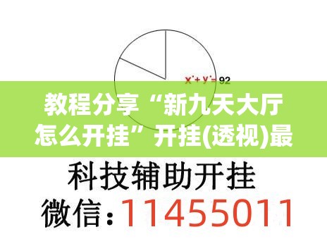 教程分享“新九天大厅怎么开挂”开挂(透视)最新辅助详细