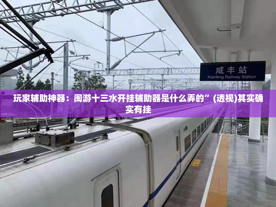 玩家辅助神器：闽游十三水开挂辅助器是什么弄的”(透视)其实确实有挂