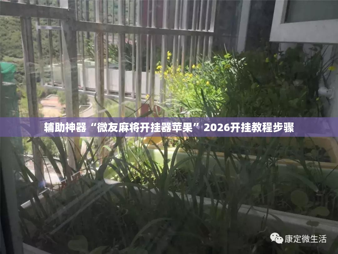 辅助神器“微友麻将开挂器苹果”2026开挂教程步骤