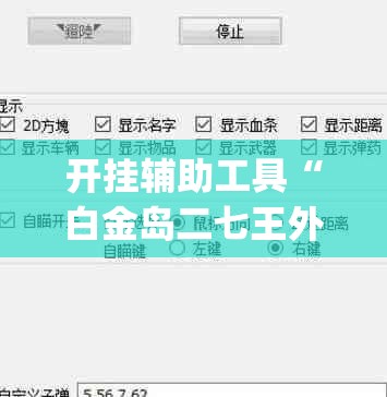 开挂辅助工具“白金岛二七王外卦辅助软件下载(透视)”开挂辅助脚本+详细开挂安装教程