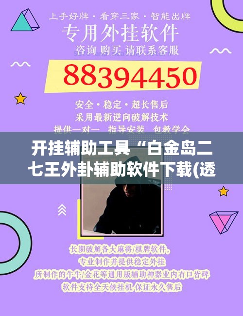 开挂辅助工具“白金岛二七王外卦辅助软件下载(透视)	”开挂辅助脚本+详细开挂安装教程