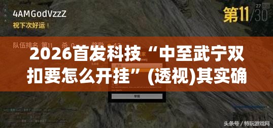 2026首发科技“中至武宁双扣要怎么开挂”(透视)其实确实有挂