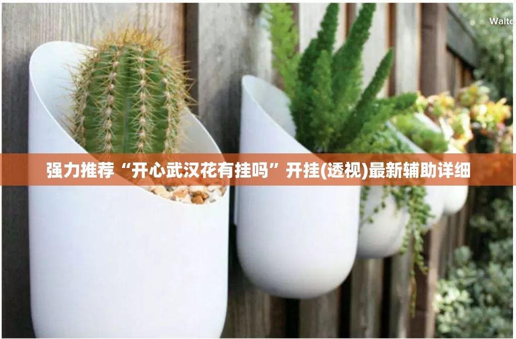 强力推荐“开心武汉花有挂吗	”开挂(透视)最新辅助详细