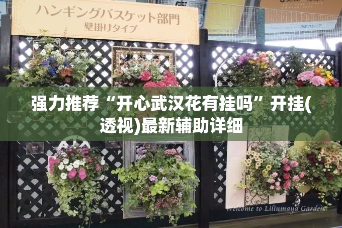 强力推荐“开心武汉花有挂吗”开挂(透视)最新辅助详细