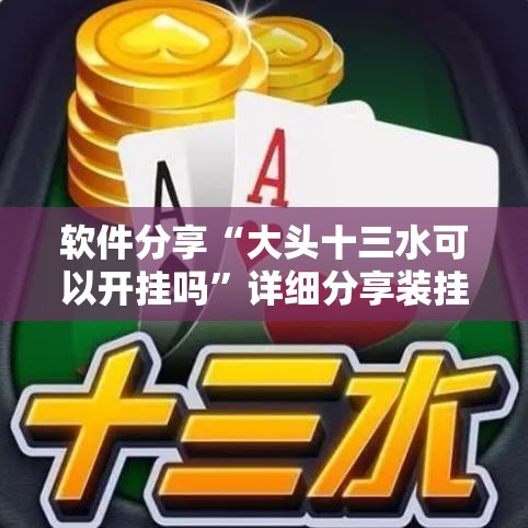 软件分享“大头十三水可以开挂吗”详细分享装挂步骤